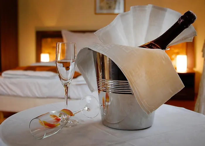 Guest house Gallery Brasov