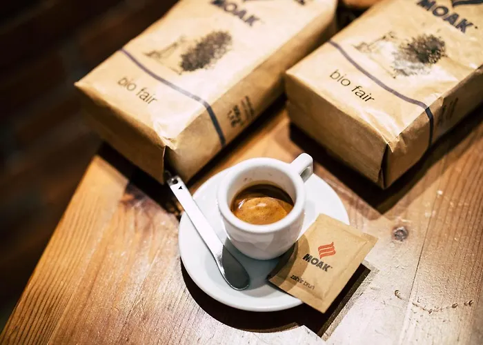 Penzion Gallery Brašov